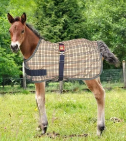 JACKS MFG 5/A Baker® Expand-O-Blanket Turnout for Foal & Pony- Turnout Blankets