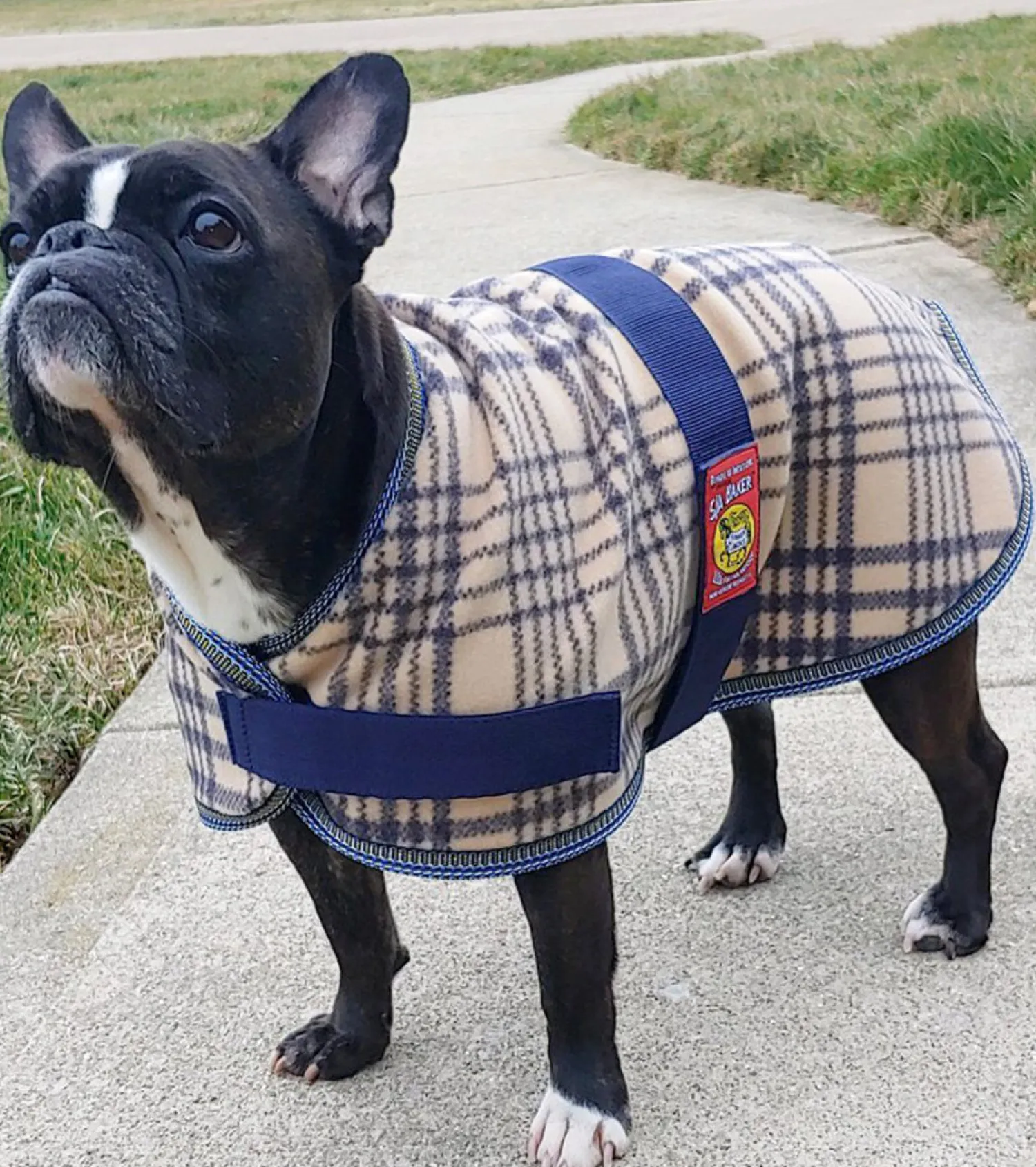 JACKS MFG 5/A Baker® Fleece Dog Blanket- Dog Blankets