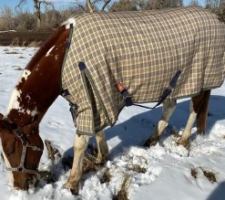JACKS MFG 5/A Baker® Heavyweight Turnout Blanket- Turnout Blankets