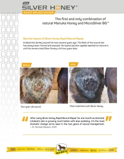 ANIMAL HEALTH INT Absorbine® Silver Honey® Rapid Wound Repair Ointment- First Aid Supplies