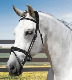 FRANTISI Acavallo® Maesta Bridle- English Bridles