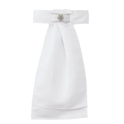 ALL TIED UP Fancy Stock Tie- Show Accessories