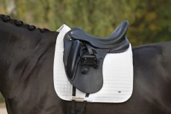 BACK ON TRACK BOT LL Back on Track® Dressage Pad- Dressage Pads|Close Contact Saddle Pads