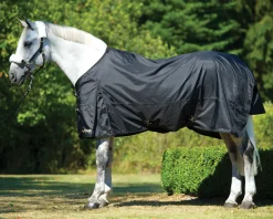 BACK ON TRACK BOT LL Back on Track® Equine Turnout Sheet- Turnout Sheets