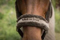 BACK ON TRACK BOT LL Back on Track® Haze Collection Halter- Halters