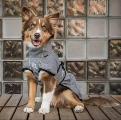 BACK ON TRACK BOT LL Back on Track® Nella Small Dog Coat- Dog Blankets