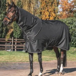 BACK ON TRACK BOT LL Back on Track® Obsidian 150G Turnout Blanket with Neck Cover- Turnout Blankets