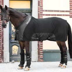 BACK ON TRACK BOT LL Back on Track® Royal Mesh Deluxe Sheet- Stable Sheets