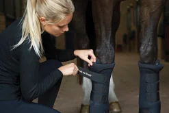 BACK ON TRACK BOT LL Back on Track® Royal Quick Wraps- Therapy|Hoof & Hock Boots
