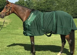 BACK ON TRACK BOT LL Back on Track® Therapeutic Mesh Horse Sheet- Stable Sheets