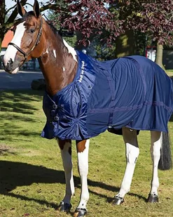 BACK ON TRACK BOT LL Back on Track® Therapeutic Mesh Horse Sheet- Stable Sheets