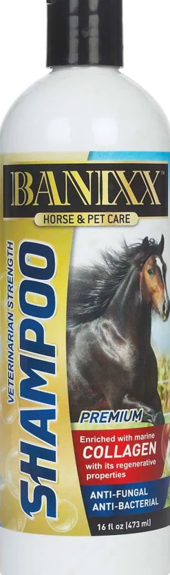 ANIMAL HEALTH INT Banixx® Horse & Pet Care Medicated Shampoo with Collagen- First Aid Supplies