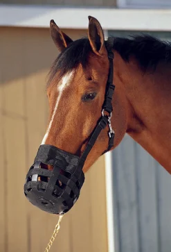 INTREPID INTL Best Friend® All-In-One Grazing Muzzle- Cribbing & Muzzles