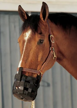 INTREPID INTL Best Friend® Grazing Muzzle- Cribbing & Muzzles