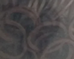 JACKS MFG Braid Binders- Braiding & Tails|Grooming Totes