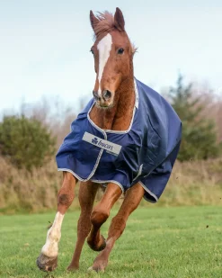 TOKLAT ORIGINALS Bucas Atlantic 200 Gram Turnout Blanket- Turnout Blankets