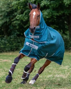 TOKLAT ORIGINALS Bucas Atlantic Combi Neck Cover - 50 Grams- Blanket Wash & Accessories