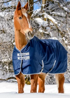 TOKLAT ORIGINALS Bucas Freedom Extra Heavy Turnout Blanket- Turnout Blankets