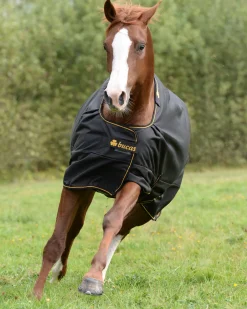 TOKLAT ORIGINALS Bucas Irish Classic Lightweight Turnout Blanket- Turnout Blankets