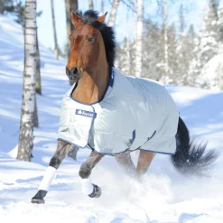 TOKLAT ORIGINALS Bucas Power All-In-One Classic Heavyweight Turnout Blanket- Turnout Blankets