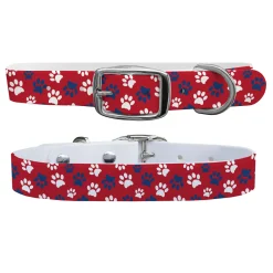 SWYFT PRINTS/C4 C4 Dog Collar- Collars & Leashes