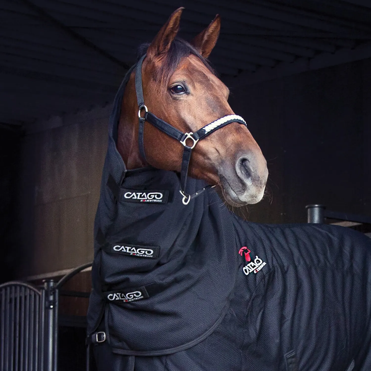 ERS Catago® FIR-Tech Neck Cover- Blanket Wash & Accessories