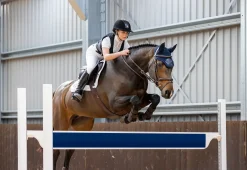 CHARLES OWEN Adults’ Shadow Back Protector- Protective Vests|Protective Vests