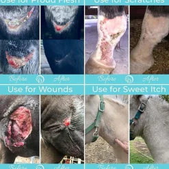 HORSEPOWDER INC Coat Defense® Trouble Spot Drying Paste- First Aid Supplies