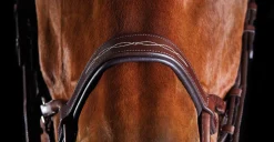 WEATHERBEETA Collegiate® ComFiTec™ Fancy-Stitched Bridle- English Bridles