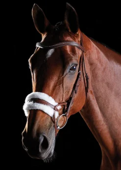 WEATHERBEETA Collegiate® ComFiTec™ Sheepskin Bridle- English Bridles