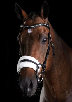 WEATHERBEETA Collegiate® ComFiTec™ Sheepskin Bridle- English Bridles