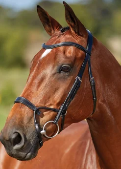 WEATHERBEETA Collegiate® ComFiTec™ Training Bridle- English Bridles