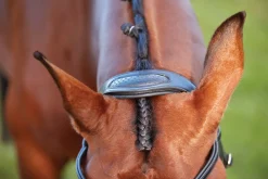 WEATHERBEETA Collegiate® ComFiTec™ Training Bridle- English Bridles