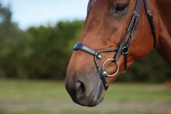 WEATHERBEETA Collegiate® ComFiTec™ Training Bridle- English Bridles