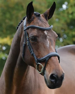 WEATHERBEETA Collegiate® ComFiTec™ Vogue Anatomic Bridle- English Bridles