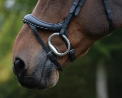 WEATHERBEETA Collegiate® ComFiTec™ Vogue Anatomic Bridle- English Bridles