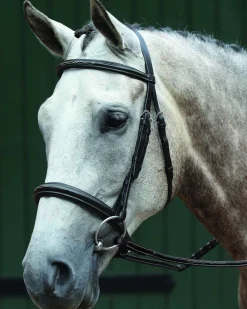 WEATHERBEETA Collegiate® Essential Padded Raised Fancy-Stitched Caveson Bridle- English Bridles