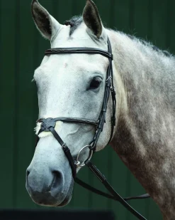 WEATHERBEETA Collegiate® Essential Padded Raised Fancy-Stitched Figure-8 Bridle- English Bridles