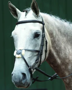 WEATHERBEETA Collegiate® Essential Padded Raised Figure-8 Bridle- English Bridles