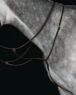 WEATHERBEETA Collegiate® Running Martingale IV- Martingales & Breastplates