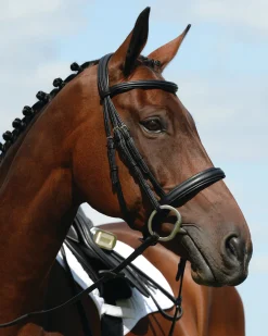 WEATHERBEETA Collegiate® Syntovia+ Padded Raised Caveson Bridle- English Bridles
