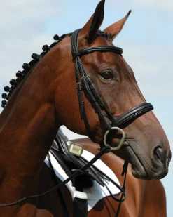 WEATHERBEETA Collegiate Syntovia+ Padded Raised Flash Bridle- English Bridles