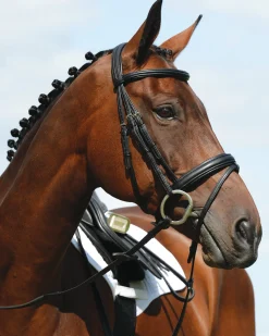 WEATHERBEETA Collegiate Syntovia+ Padded Raised Flash Bridle- English Bridles
