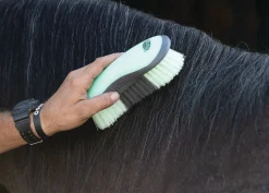 WEAVER LEATHER Dandy Brush- Bathing Tools|Brushes & Hoof Picks