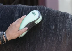 WEAVER LEATHER Dandy Brush- Bathing Tools|Brushes & Hoof Picks