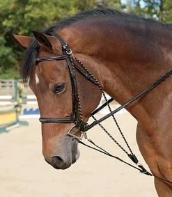 ERS De Gogue- Lunging & Training Equipment