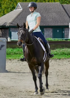 KIRSCH Dover Saddlery® Ladies’ Notch-V Stripe Short Sleeve Shirt- Short Sleeve Shirts