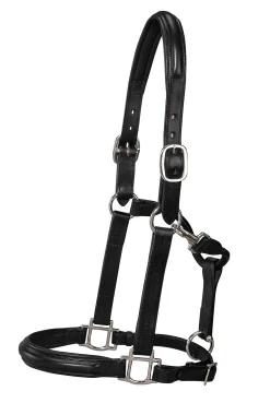 HARMOHN KRAFT DS Classic Plain Raised Padded Halter- Halters