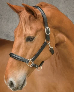HARMOHN KRAFT DS Classic Plain Raised Padded Halter- Halters