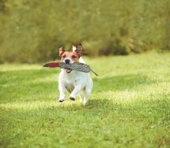 SHIRE HORSE DS Duck Dog Toy- Dog Toys, Treats & Accessories